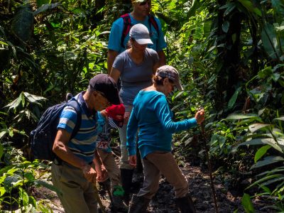 lodge ecuador amazon rainforest tour amazonia family